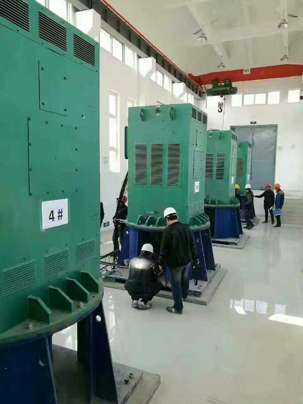 乐昌某污水处理厂使用我厂的立式高压电机安装现场